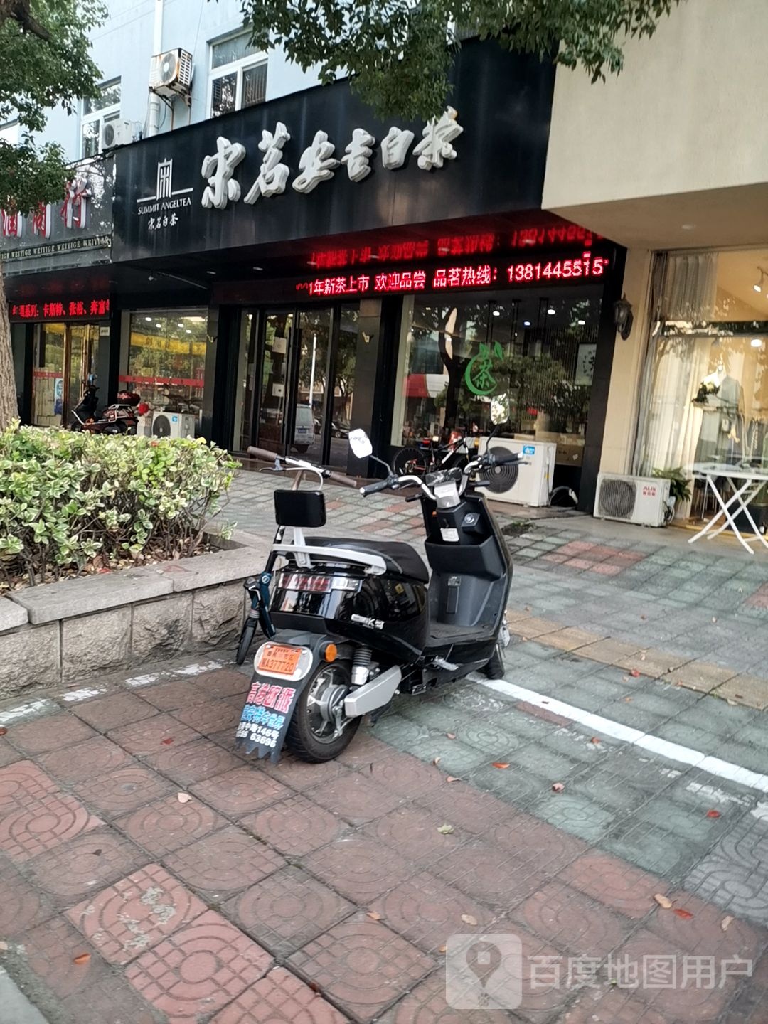 宋茗安吉白茶(金港北路店)