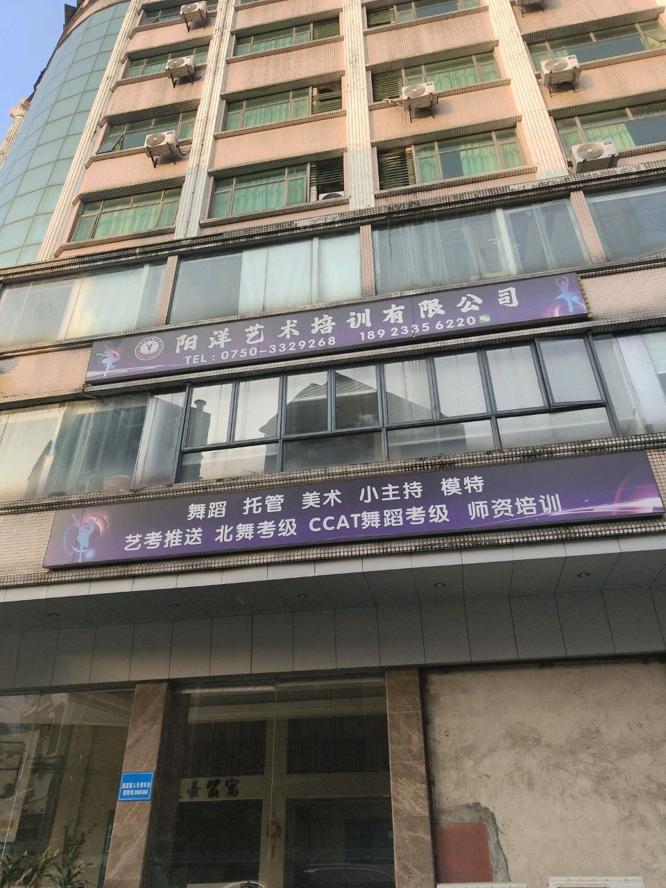 阳洋艺术培训有限公司