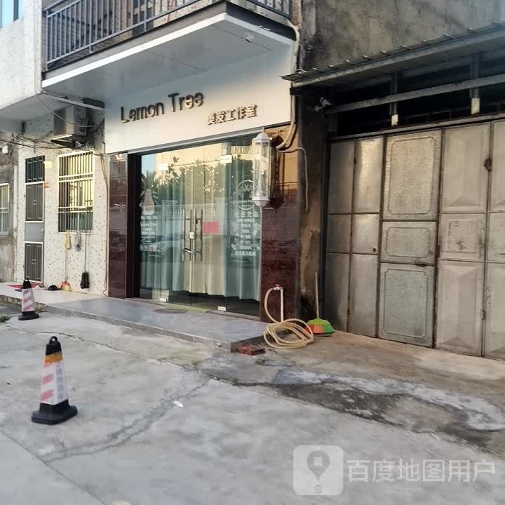Lemon Tree美发工作室(南信富饶半岛店)