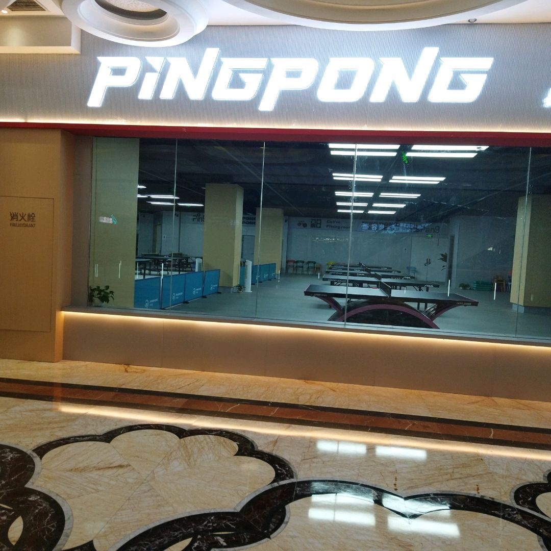 PINGPONG