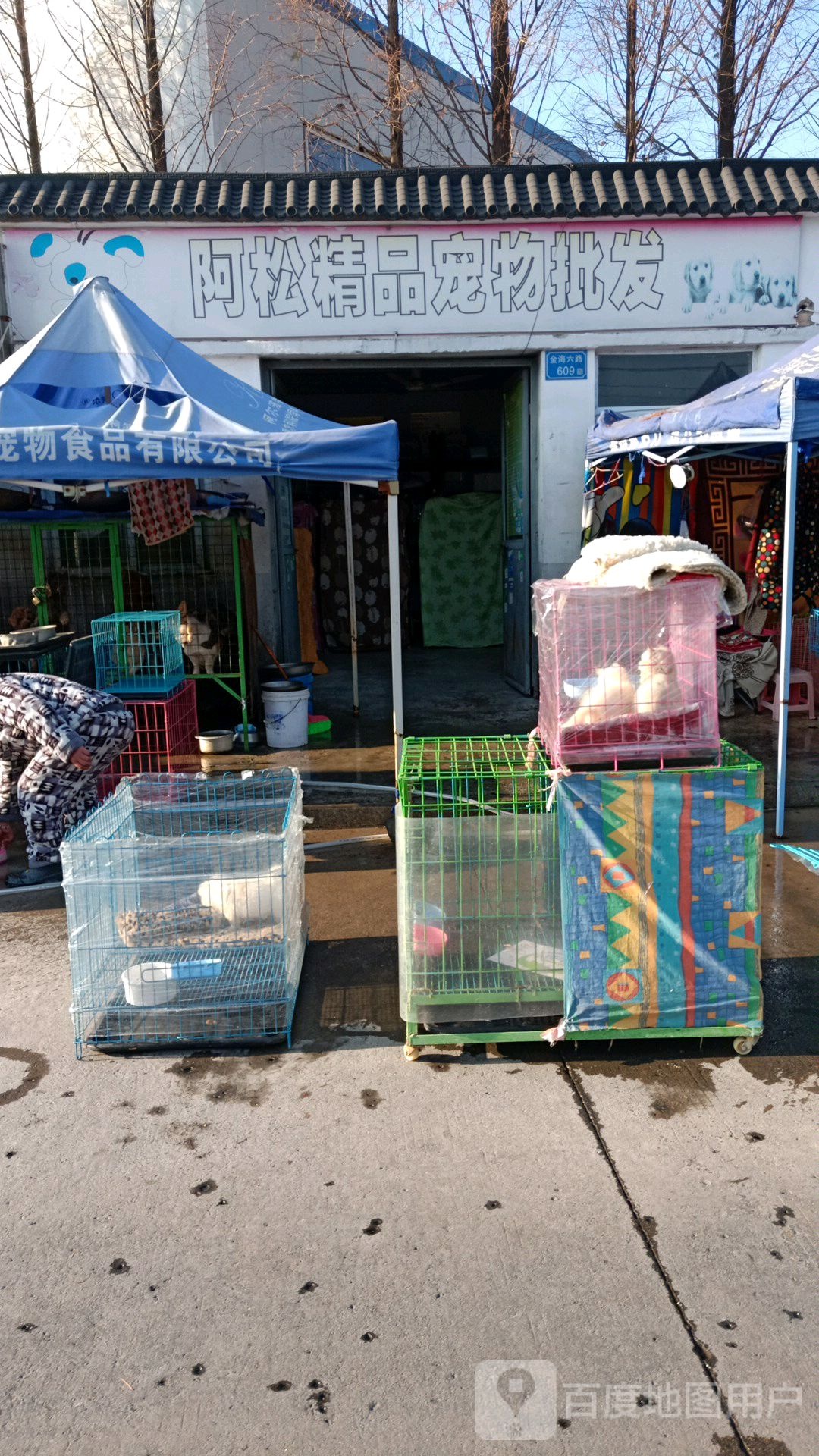 阿松精品宠物批发