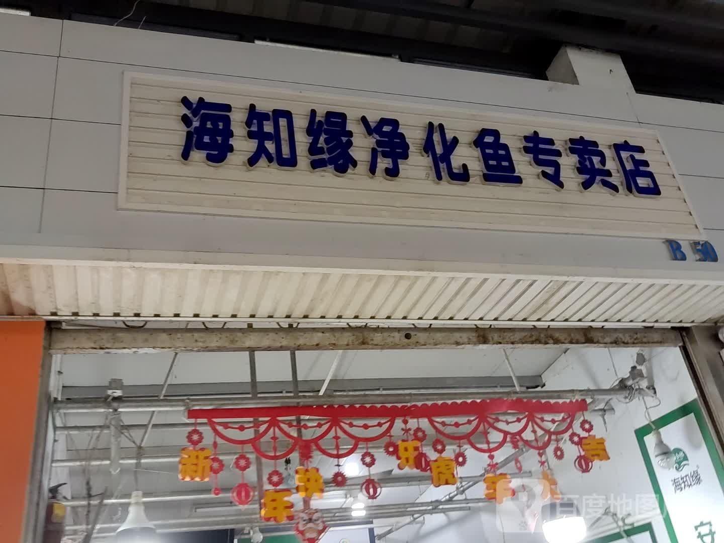 海知缘净化鱼专卖店