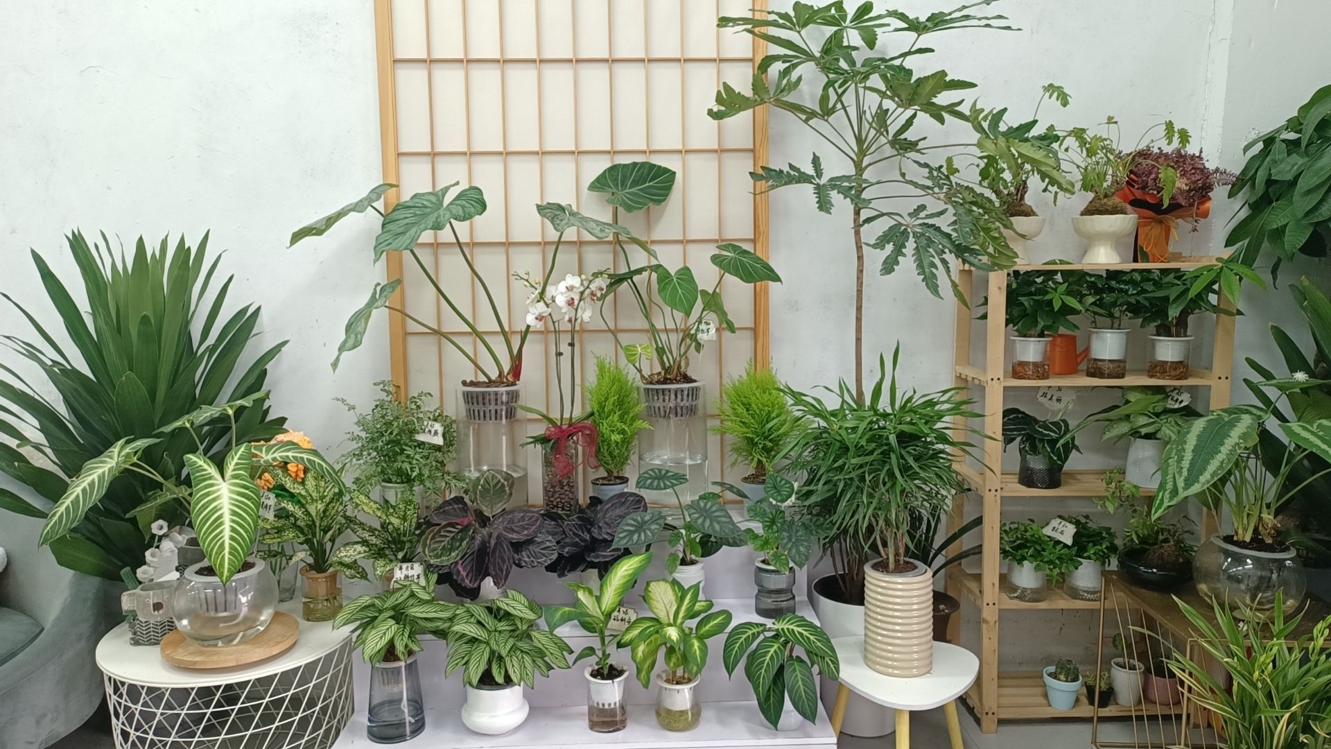 知遇花筑花店