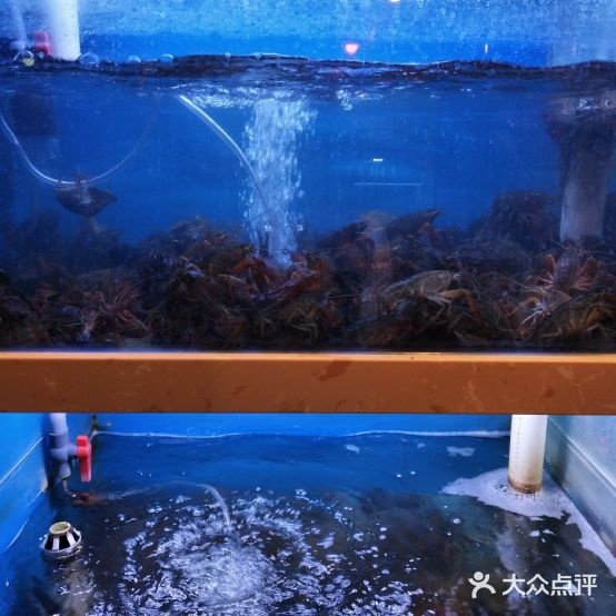 虾来来小龙(珠江路店)