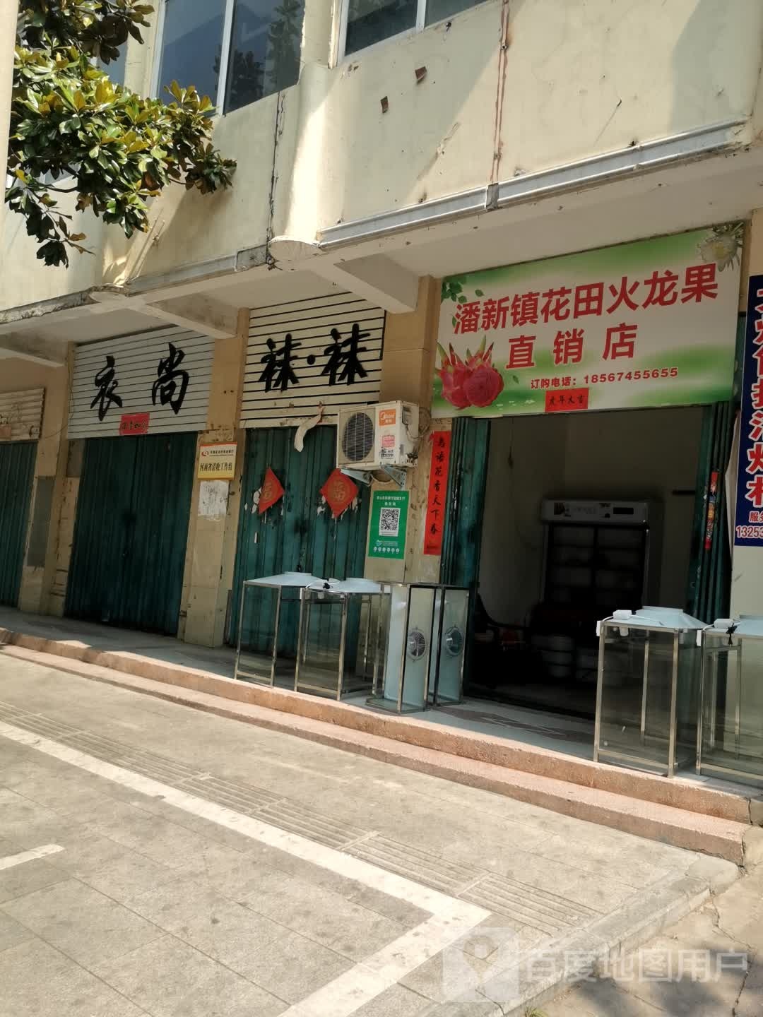 罗山县潘新镇花田火龙果直销店