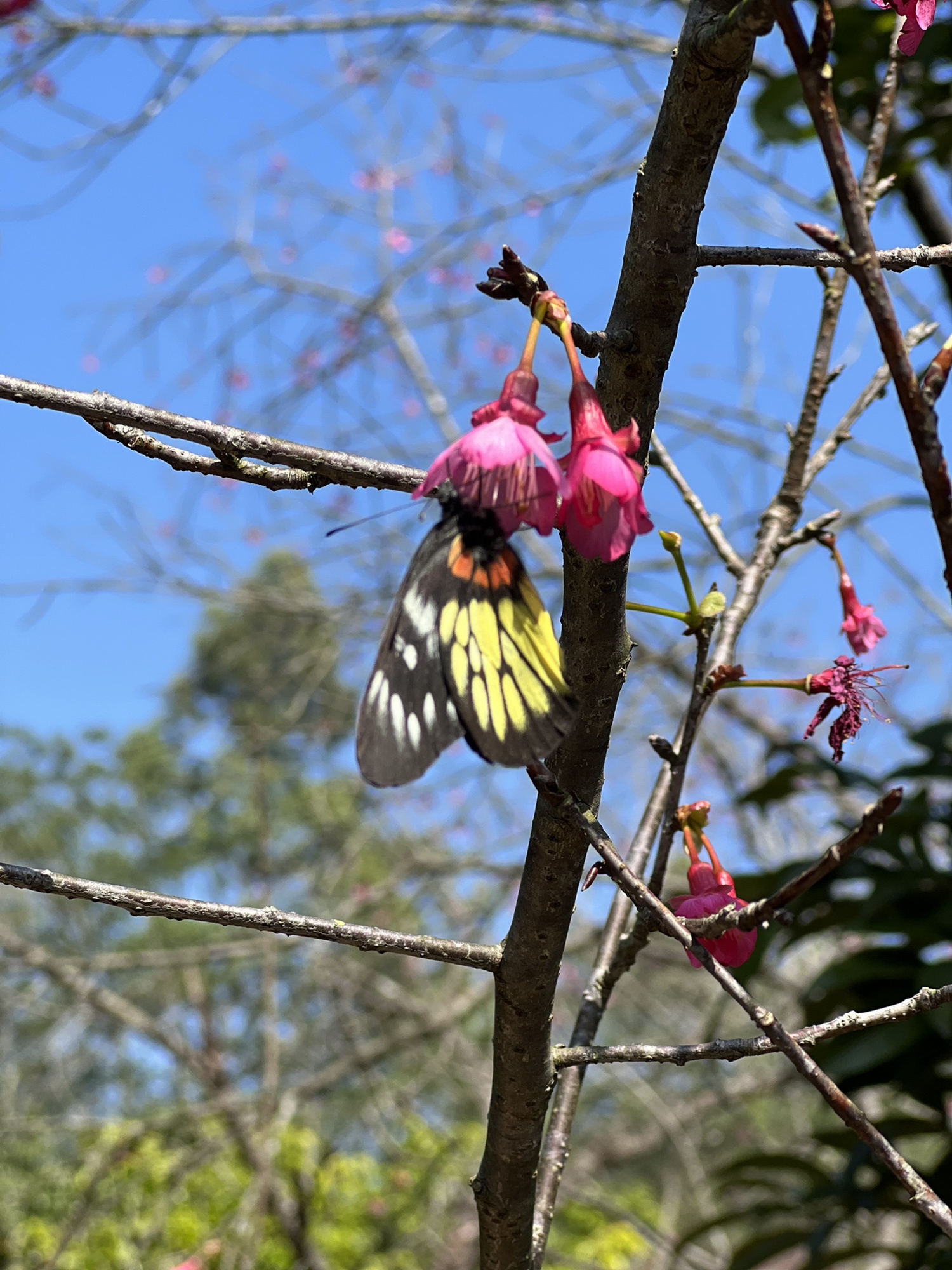 何仙姑风景区