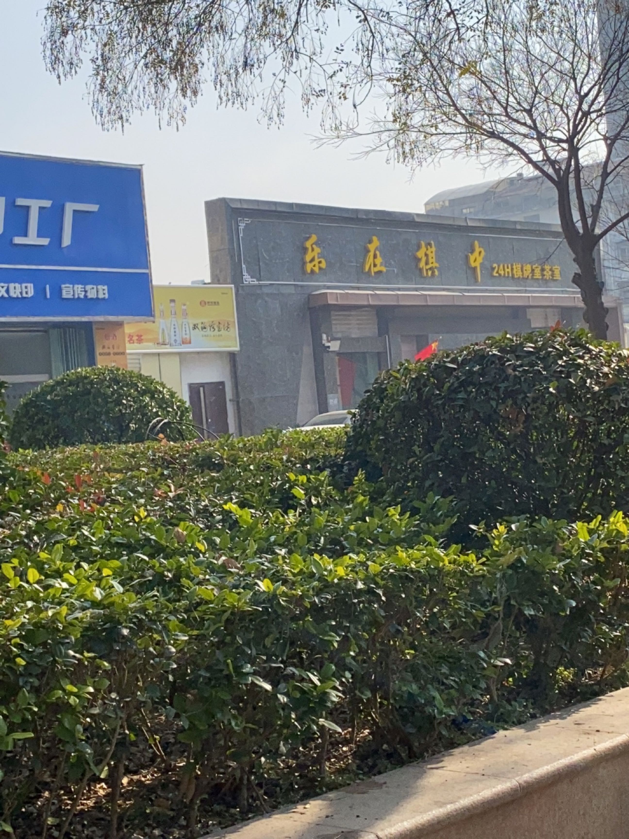 乐在棋中