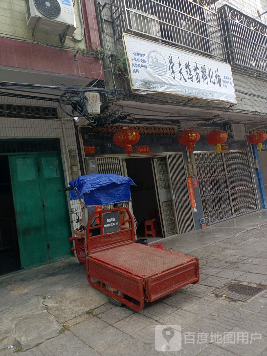 学夫鸭苗孵化场