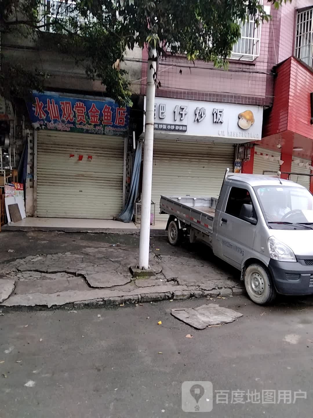 水仙观赏金鱼店
