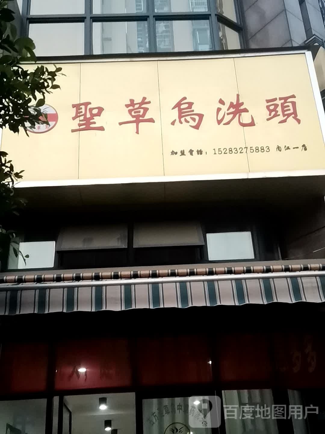 圣草乌洗头