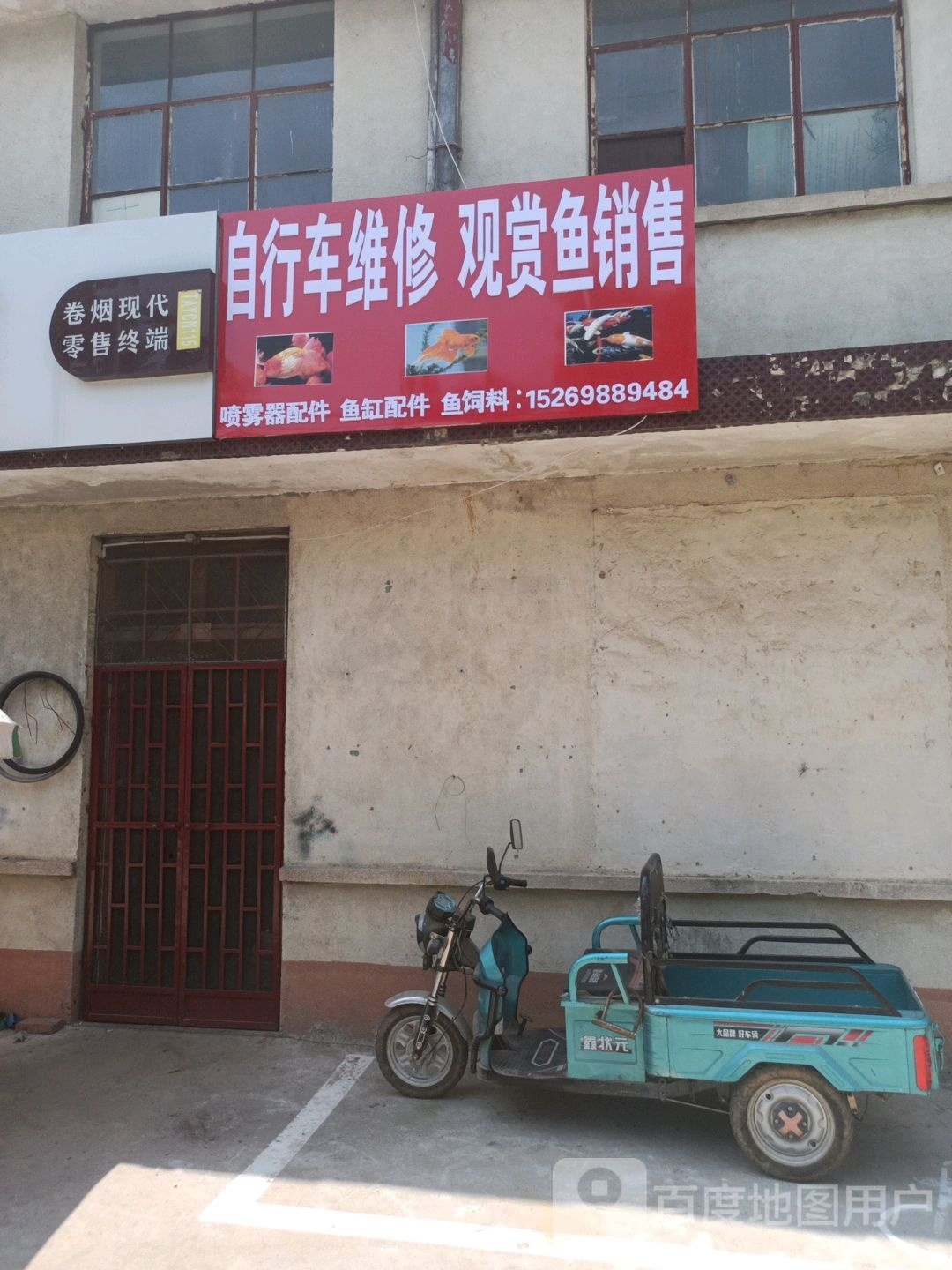 观赏鱼销售