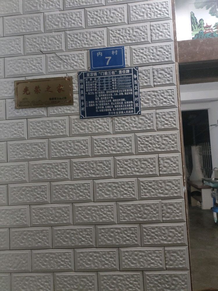 海南省万宁市龙滚镇坡罗村委会内村7号