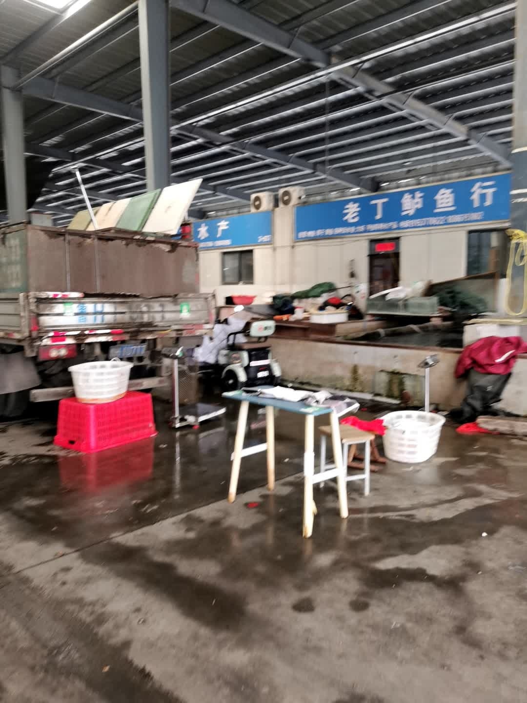 老丁鲈鱼行