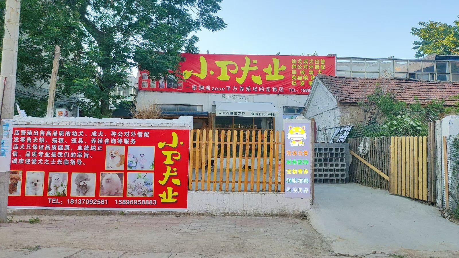 小卫犬业宠物店