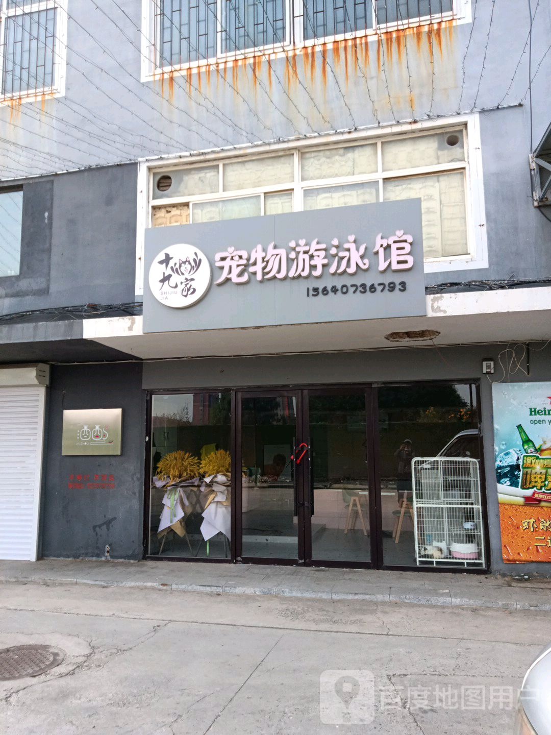 十团九家宠物游泳馆