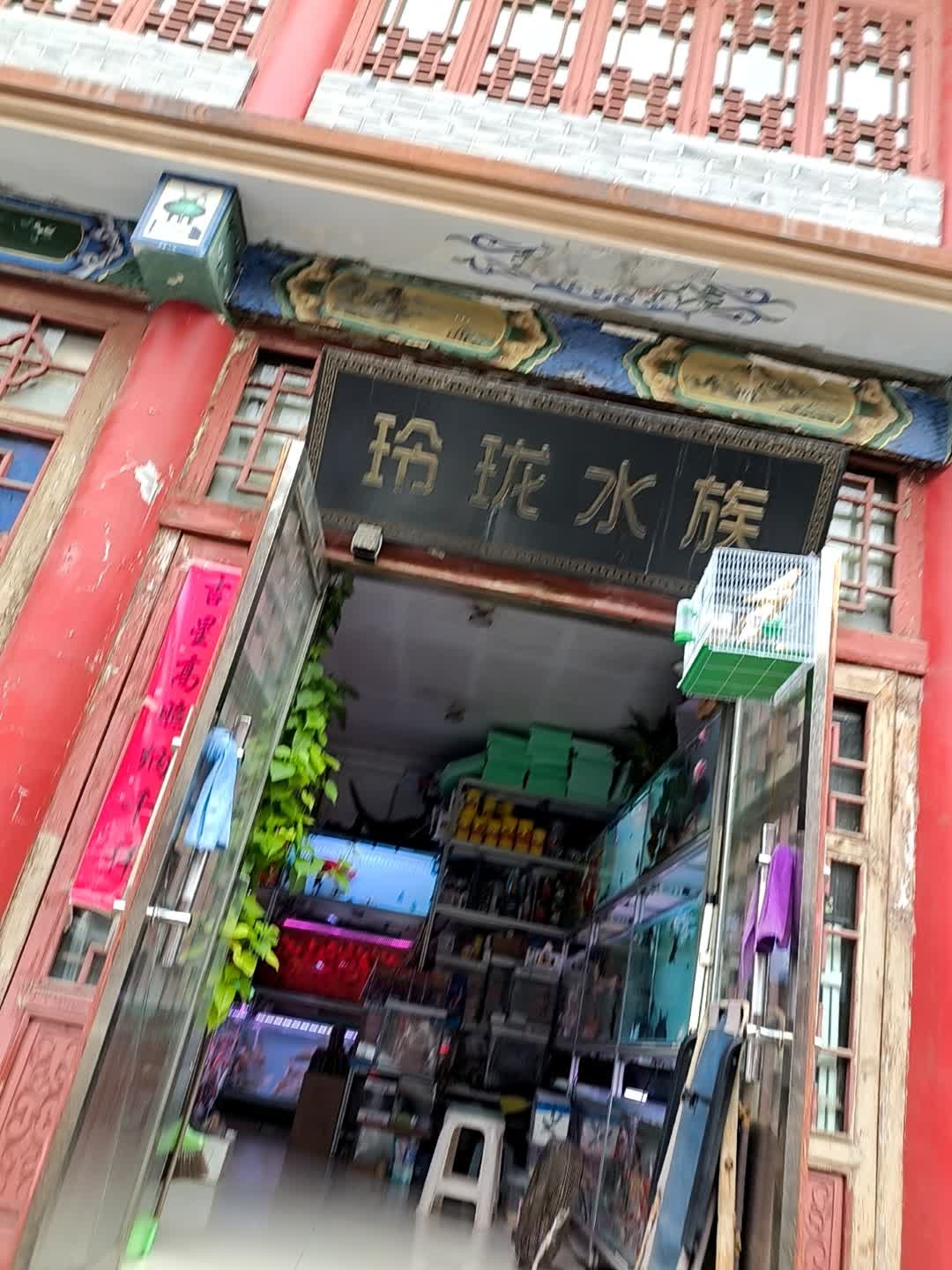 玲珑水族(巨兴路店)