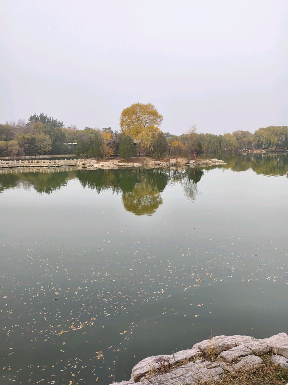 九龙湖