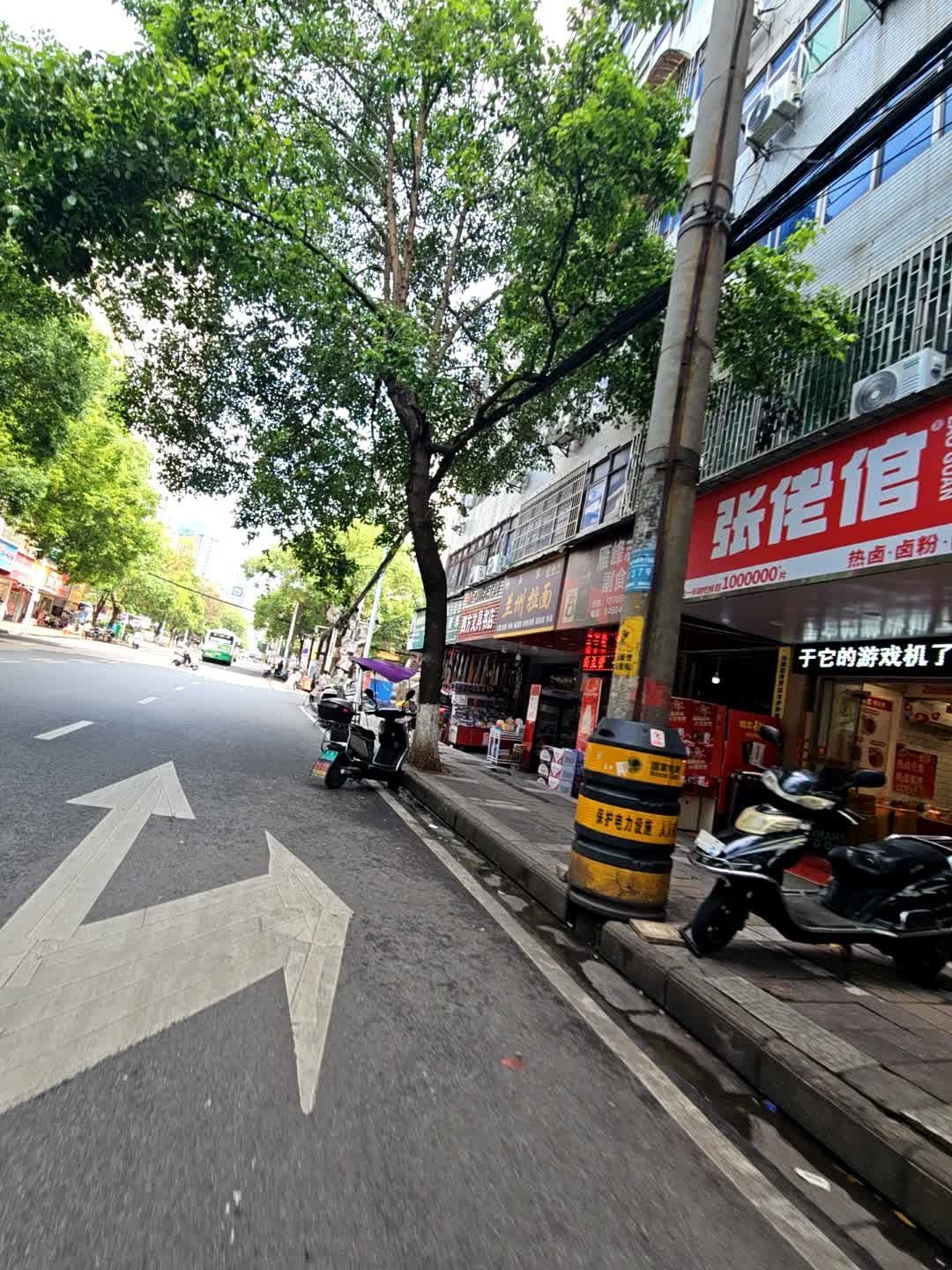 清真兰州拉面(成章店)