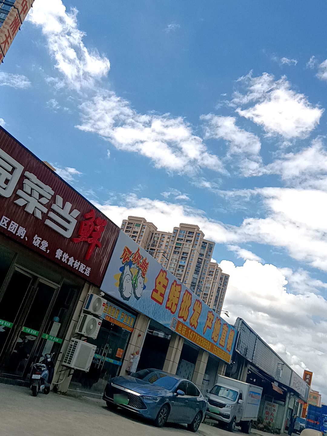 公众蚝生蚝批发产地直销