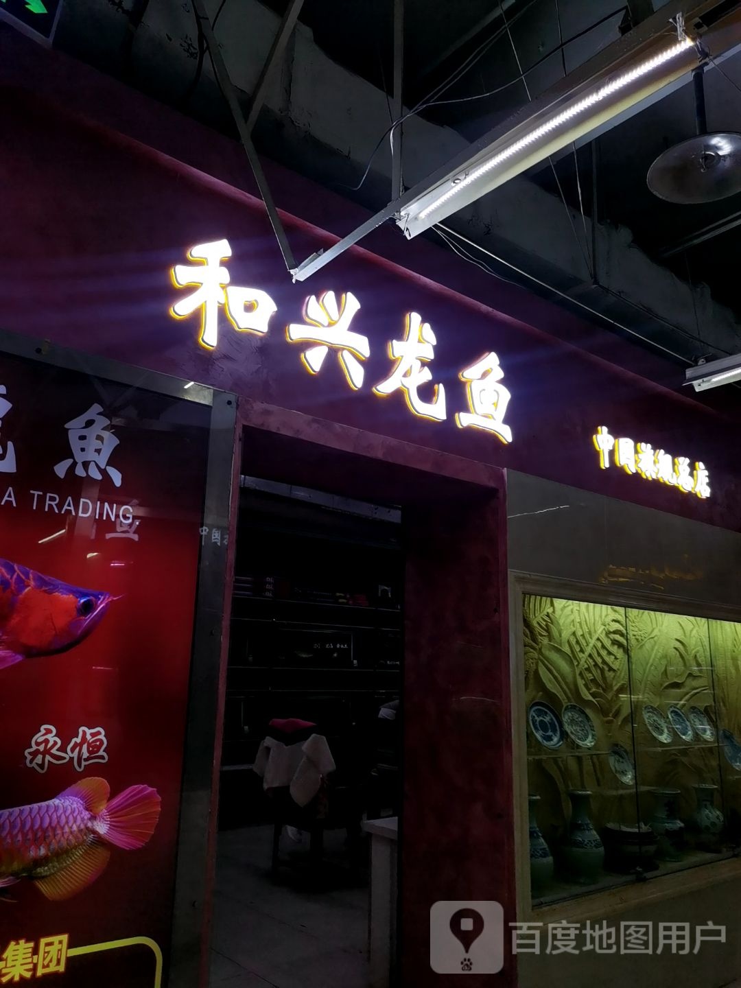 和兴龙鱼中国旗舰总店(世纪金源购物中心店)