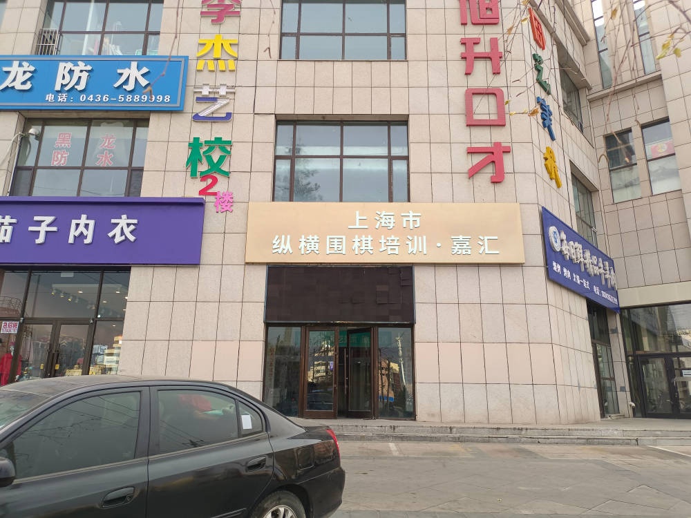 上海市纵横围棋培训嘉汇