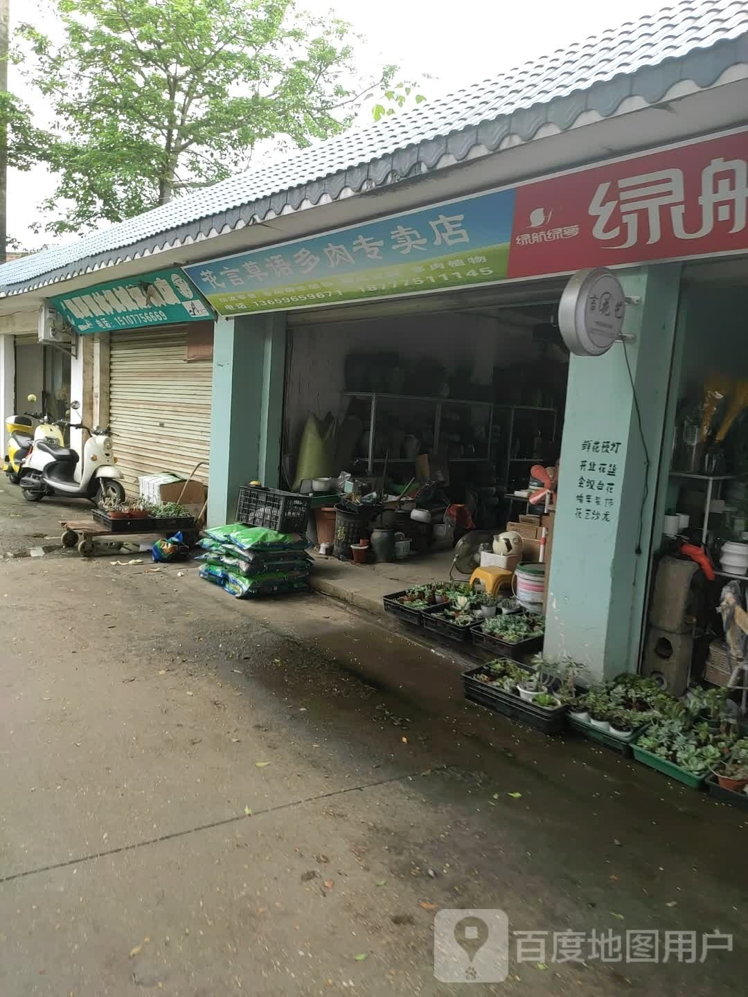 花言草语多肉专卖