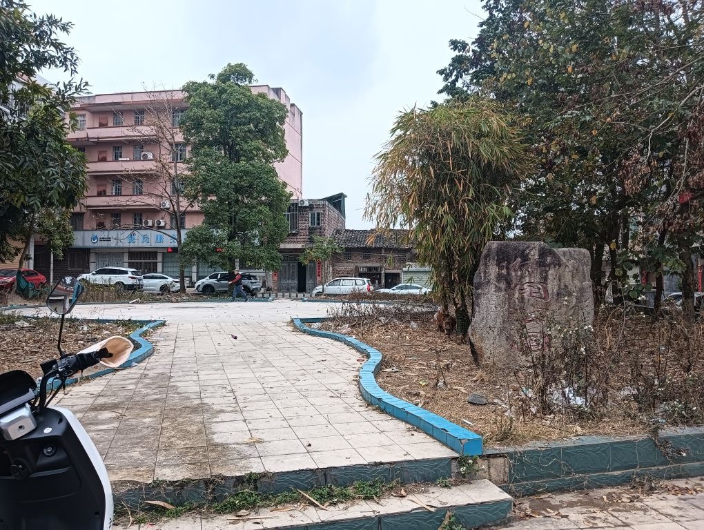 兴业县龙安镇休闲公园