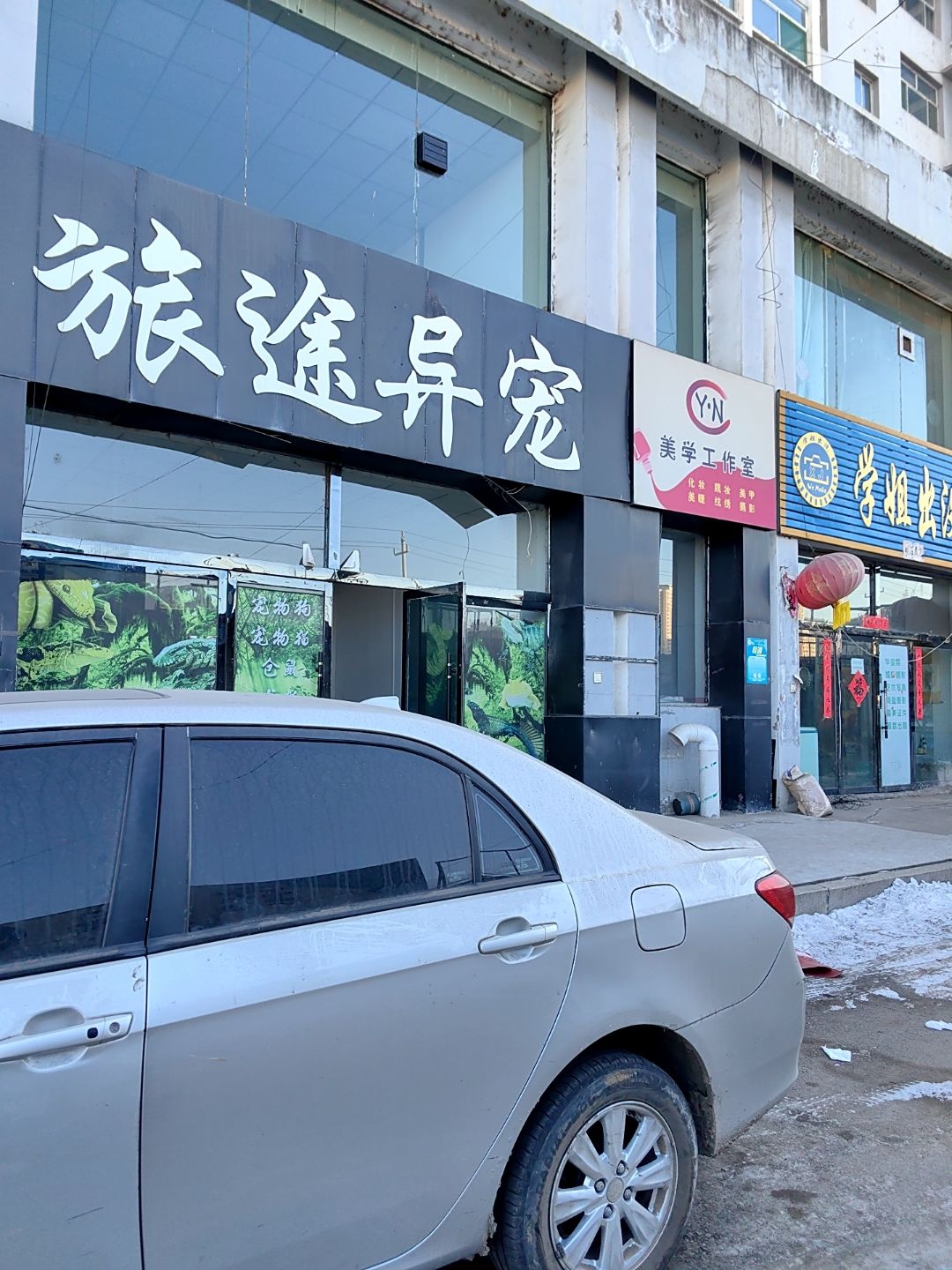 旅途异宠
