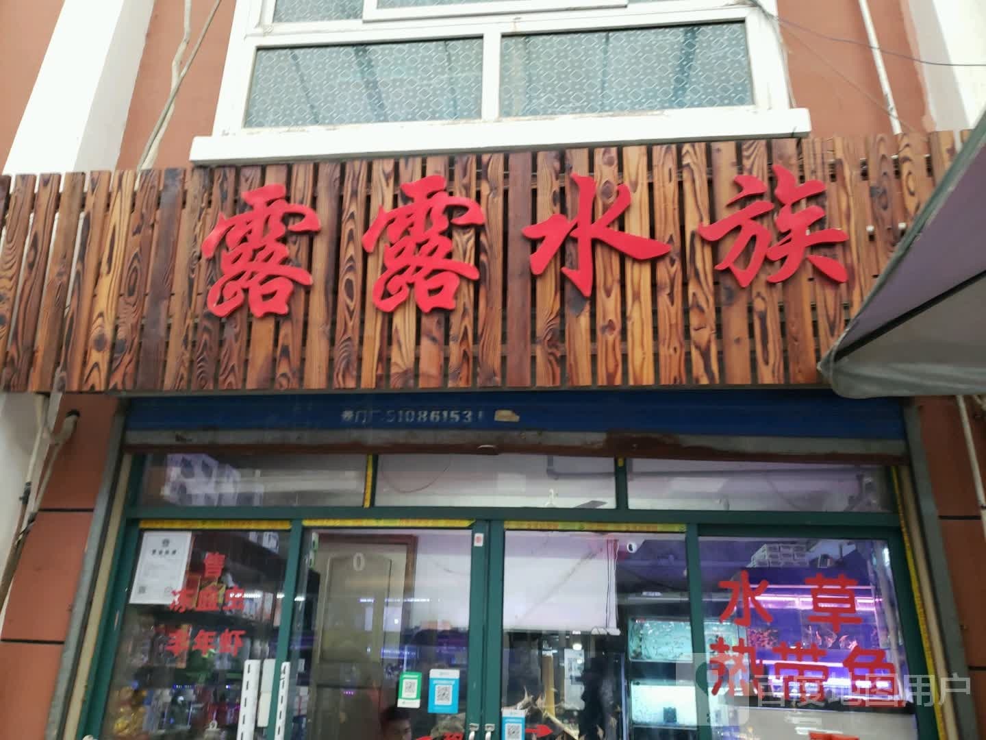 露露水族(上海岚灵花鸟市场店)