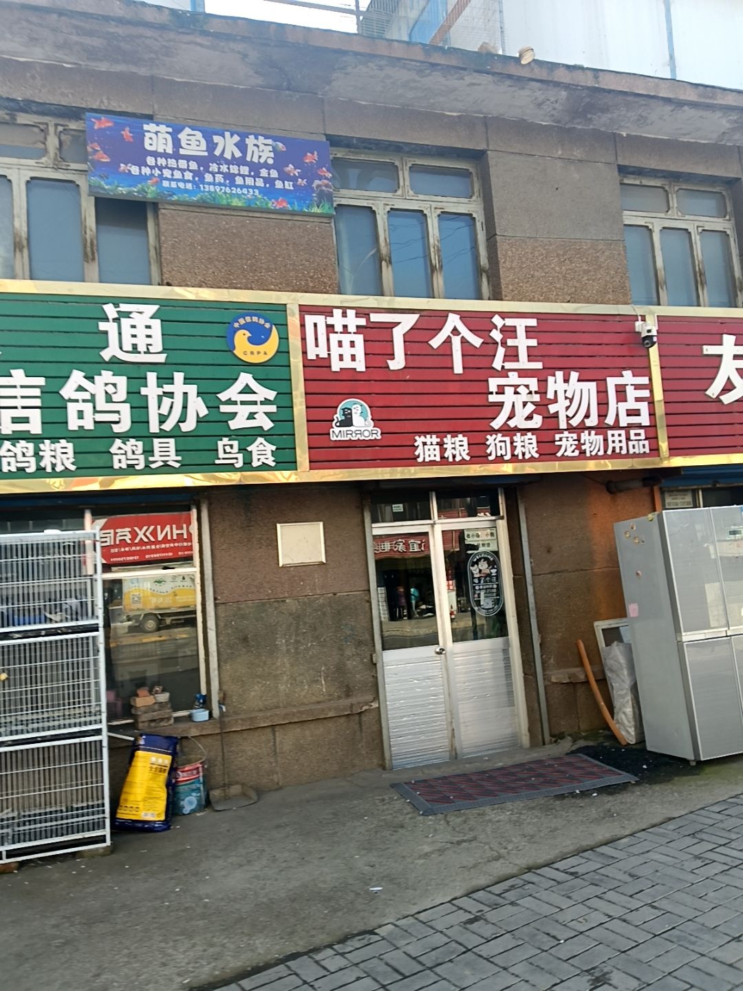 萌鱼水族