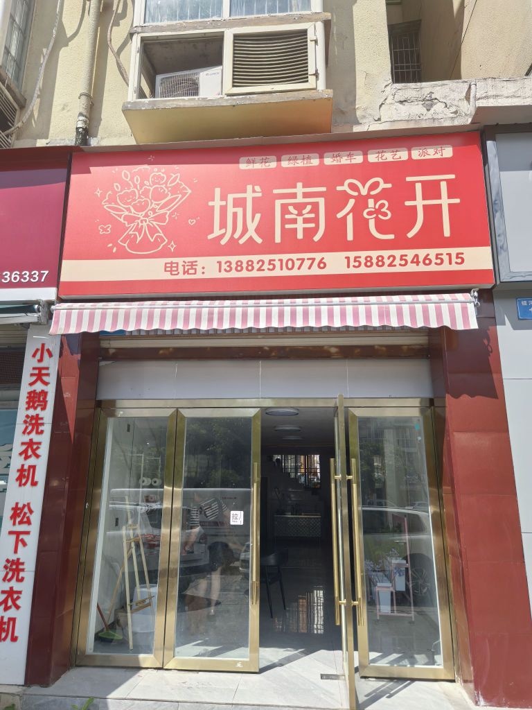 城南花开