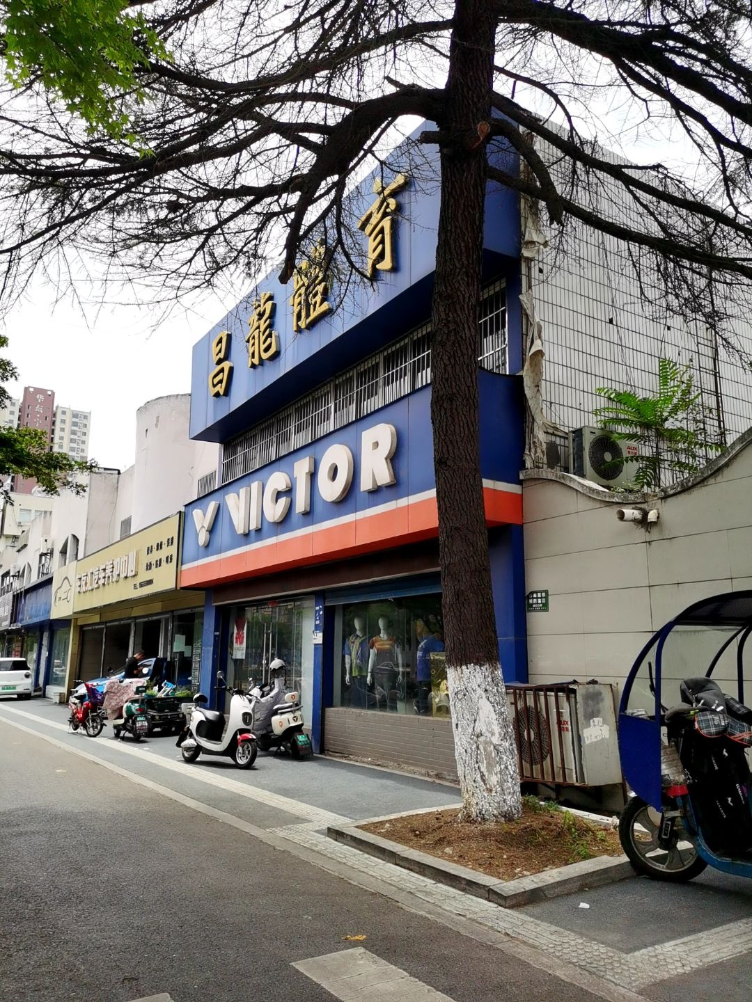 VICTOR胜利晟羽体育