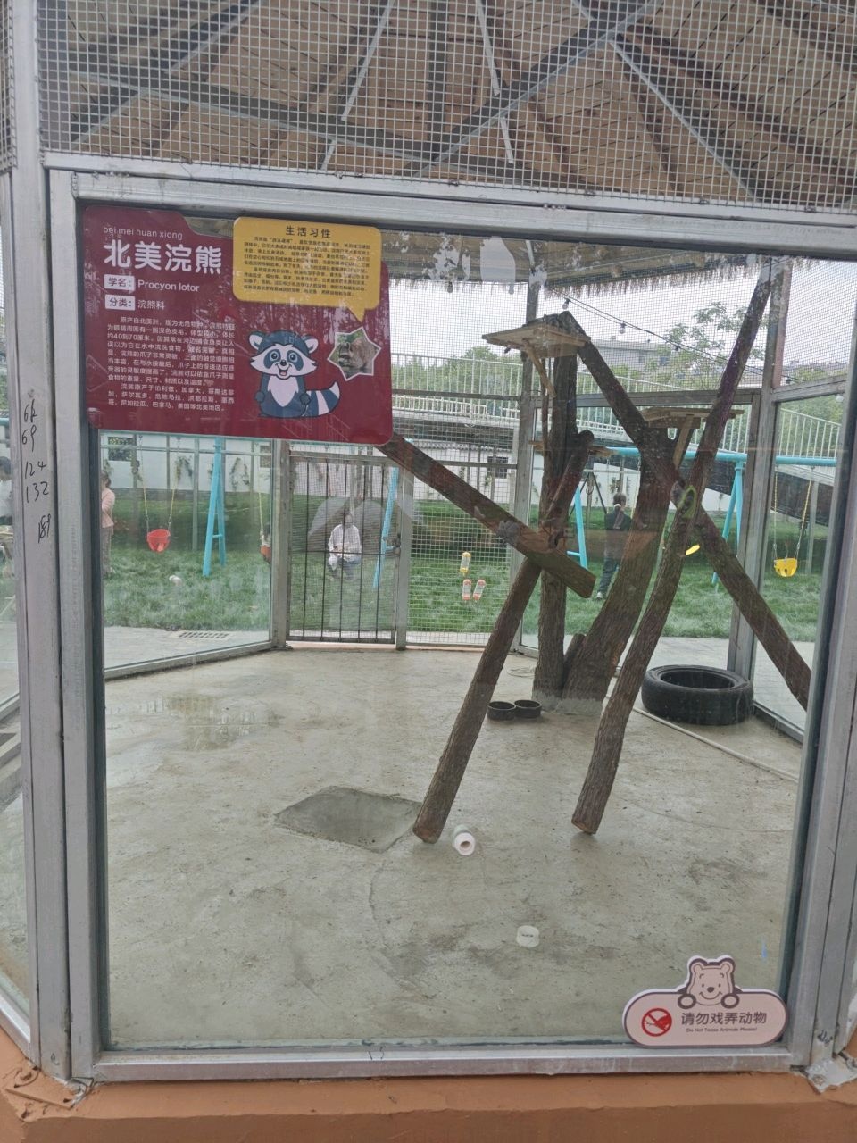 小浣熊