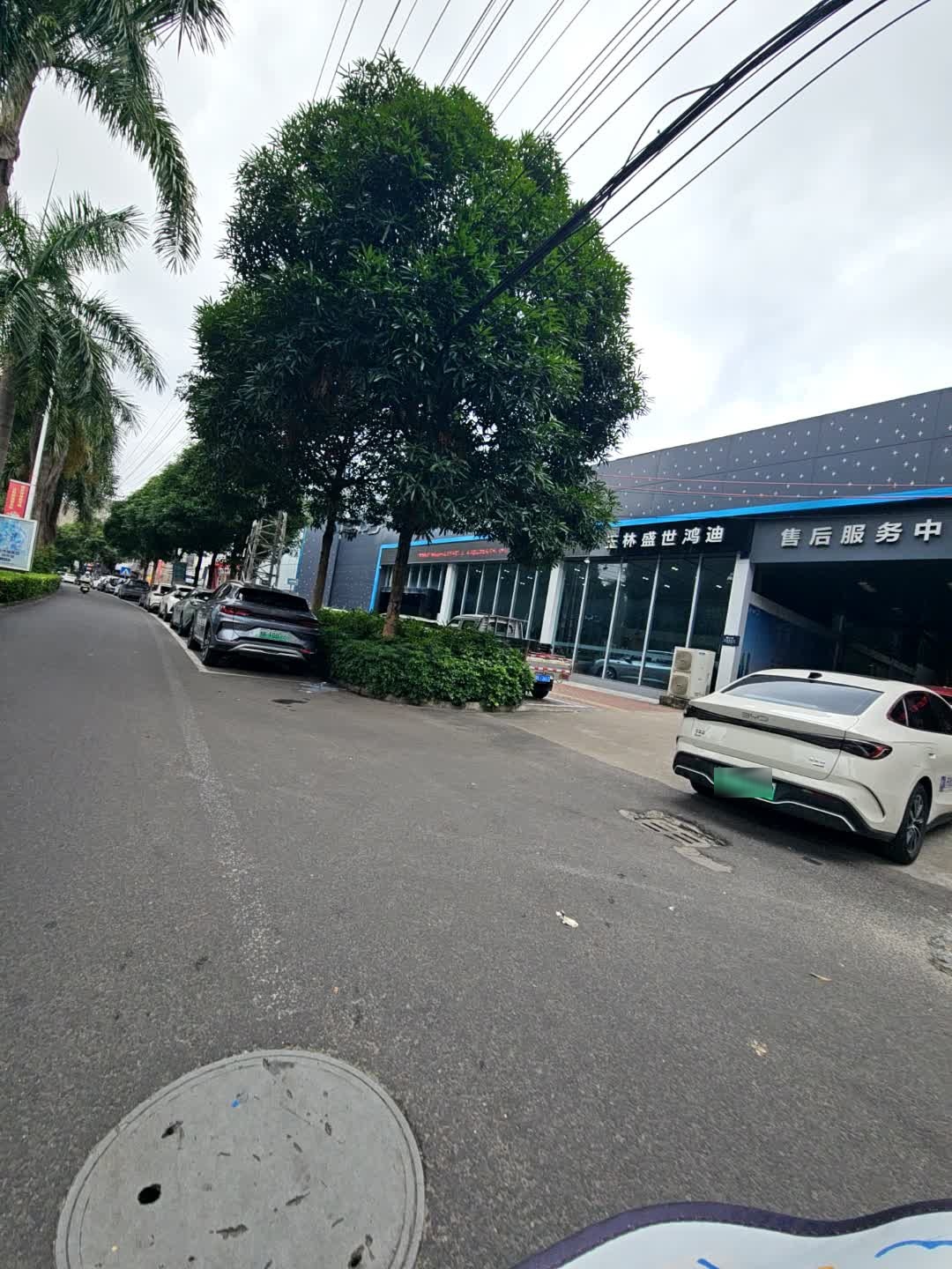 比亚迪汽车海洋网(玉林盛世鸿迪4S店)