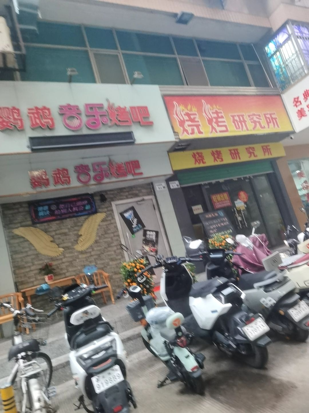 鹦鹉音乐烤吧