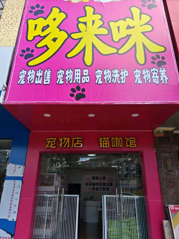 哆来咪宠物店