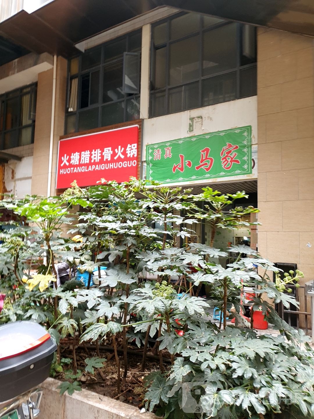 清真小马家(西城时代购物中心店)