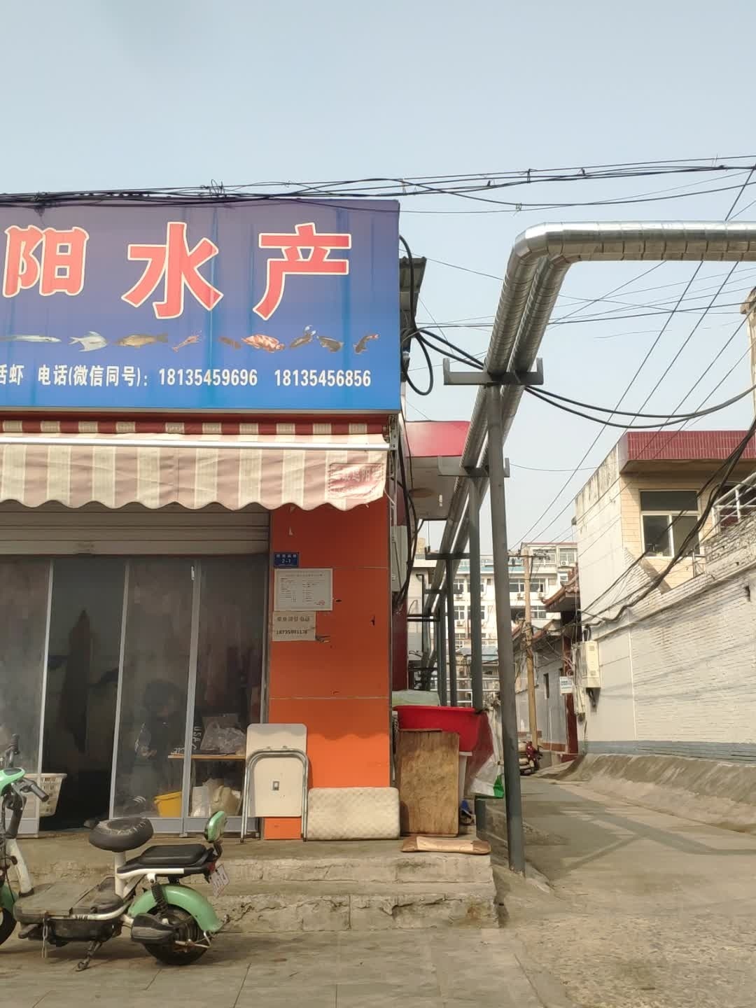 阳阳水产