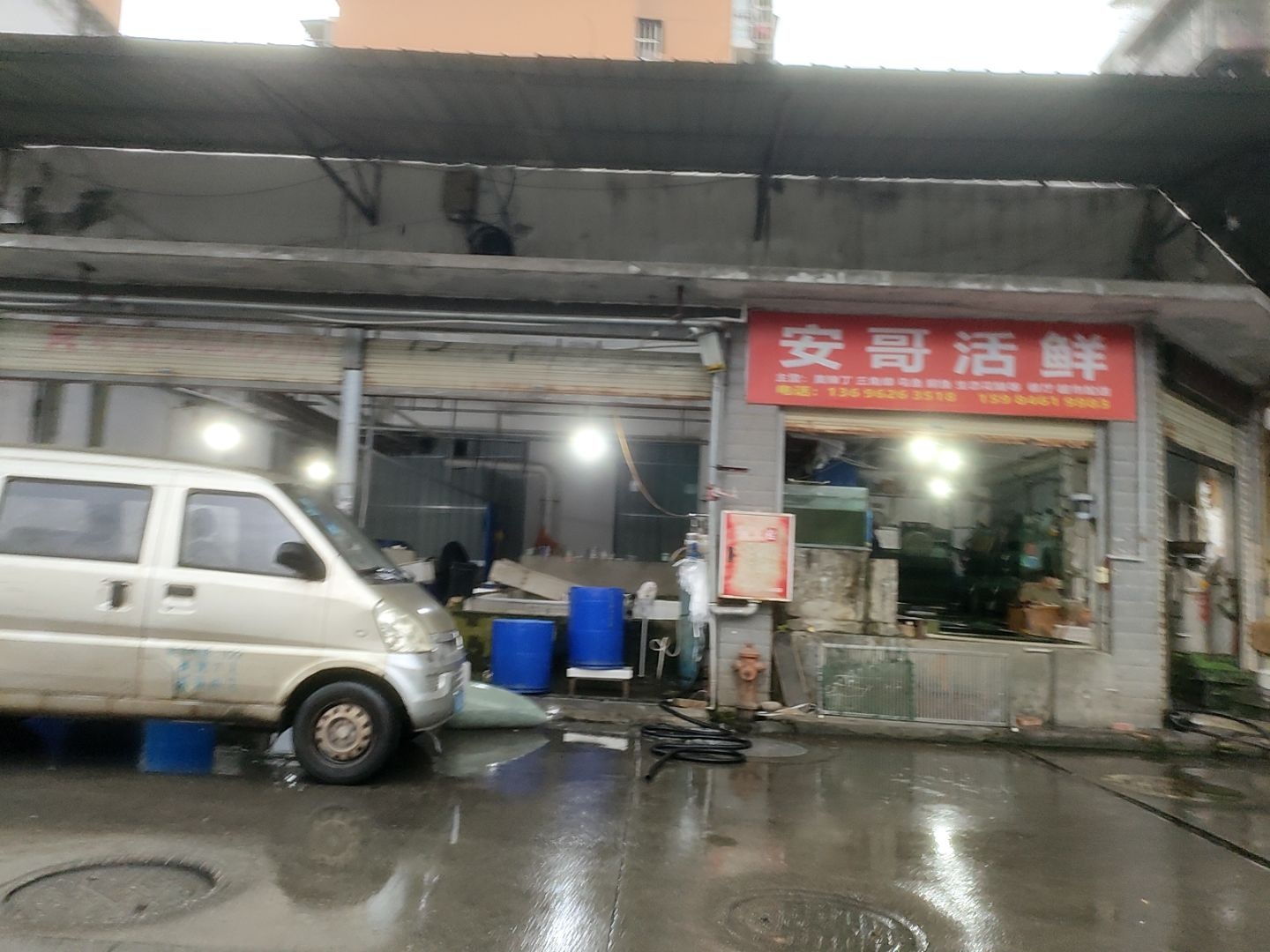 安哥活鲜