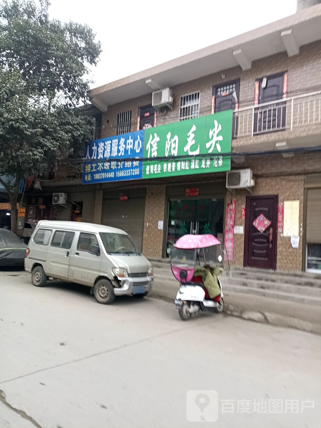 信阳毛尖(古城路店)