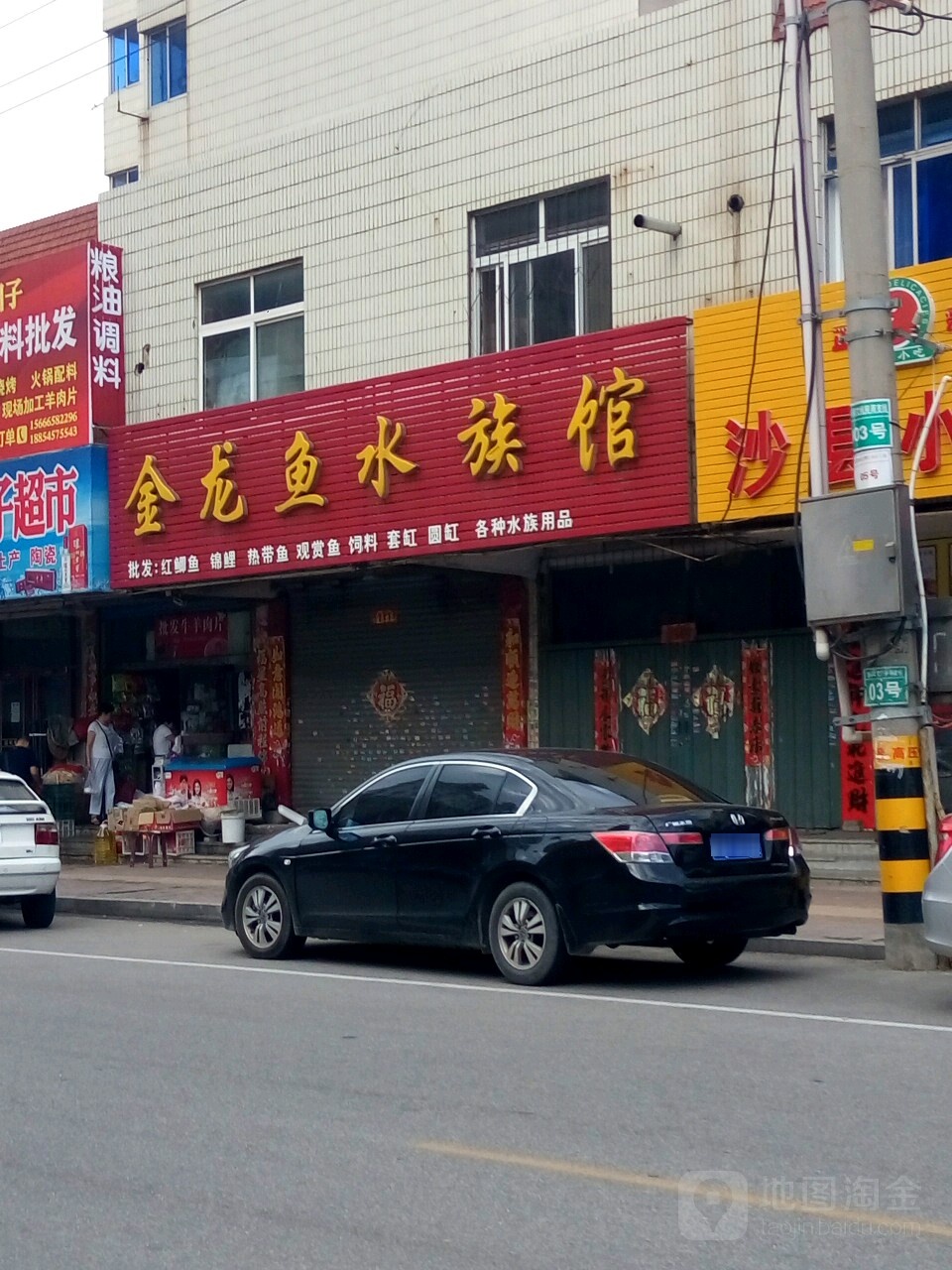 金龙鱼水族馆(民丰路店)