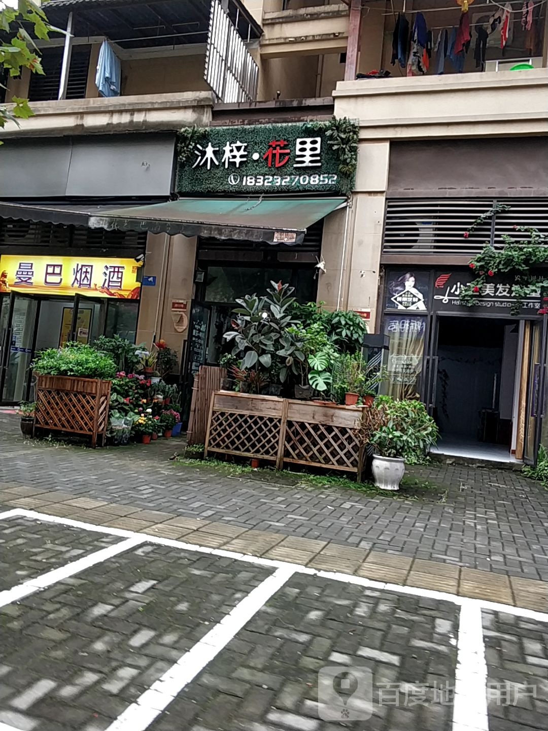 曼巴烟草