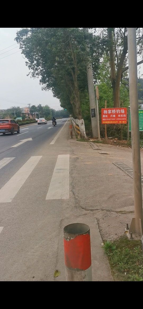 杨家桥钓场