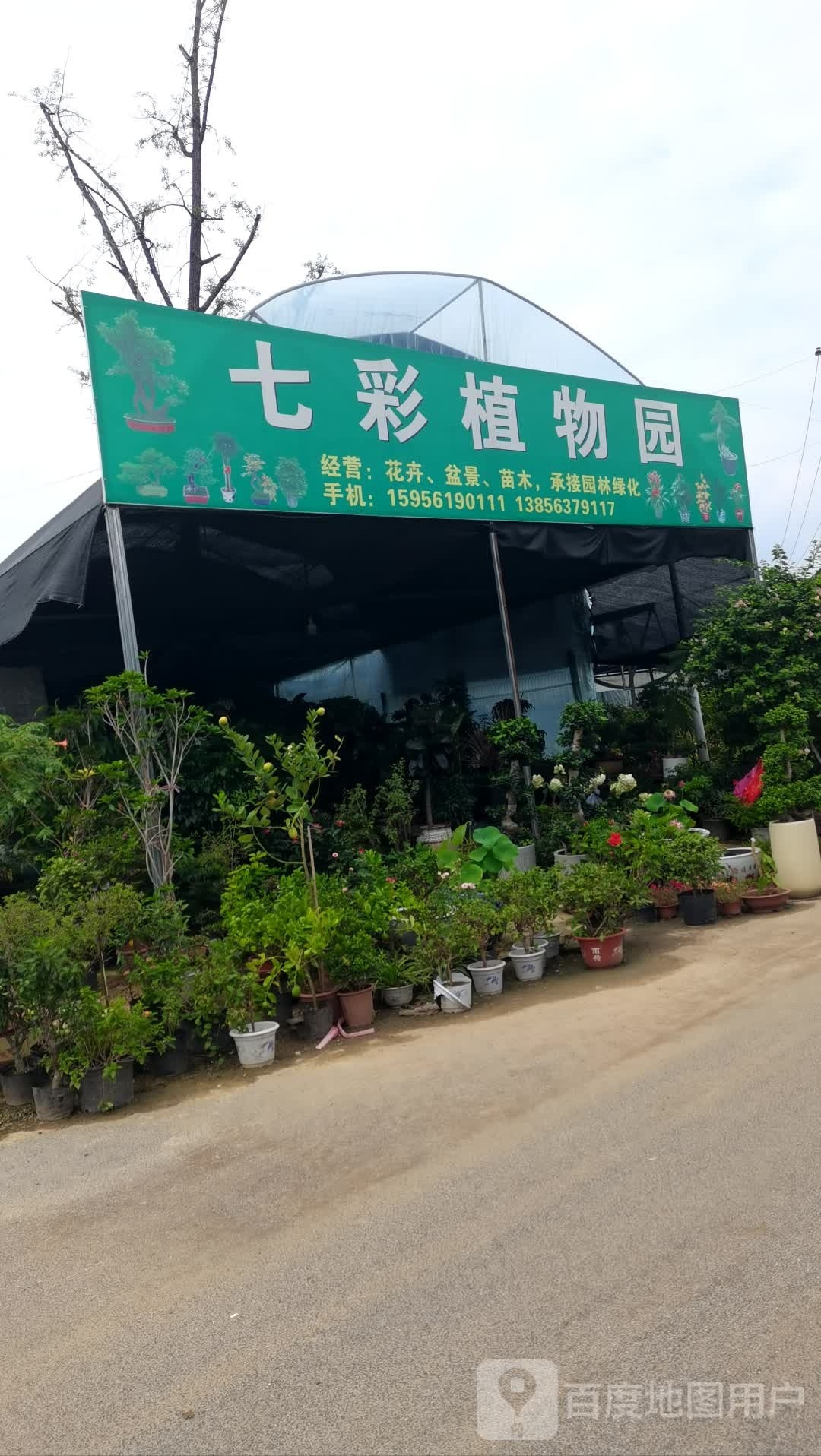 七彩w植物园