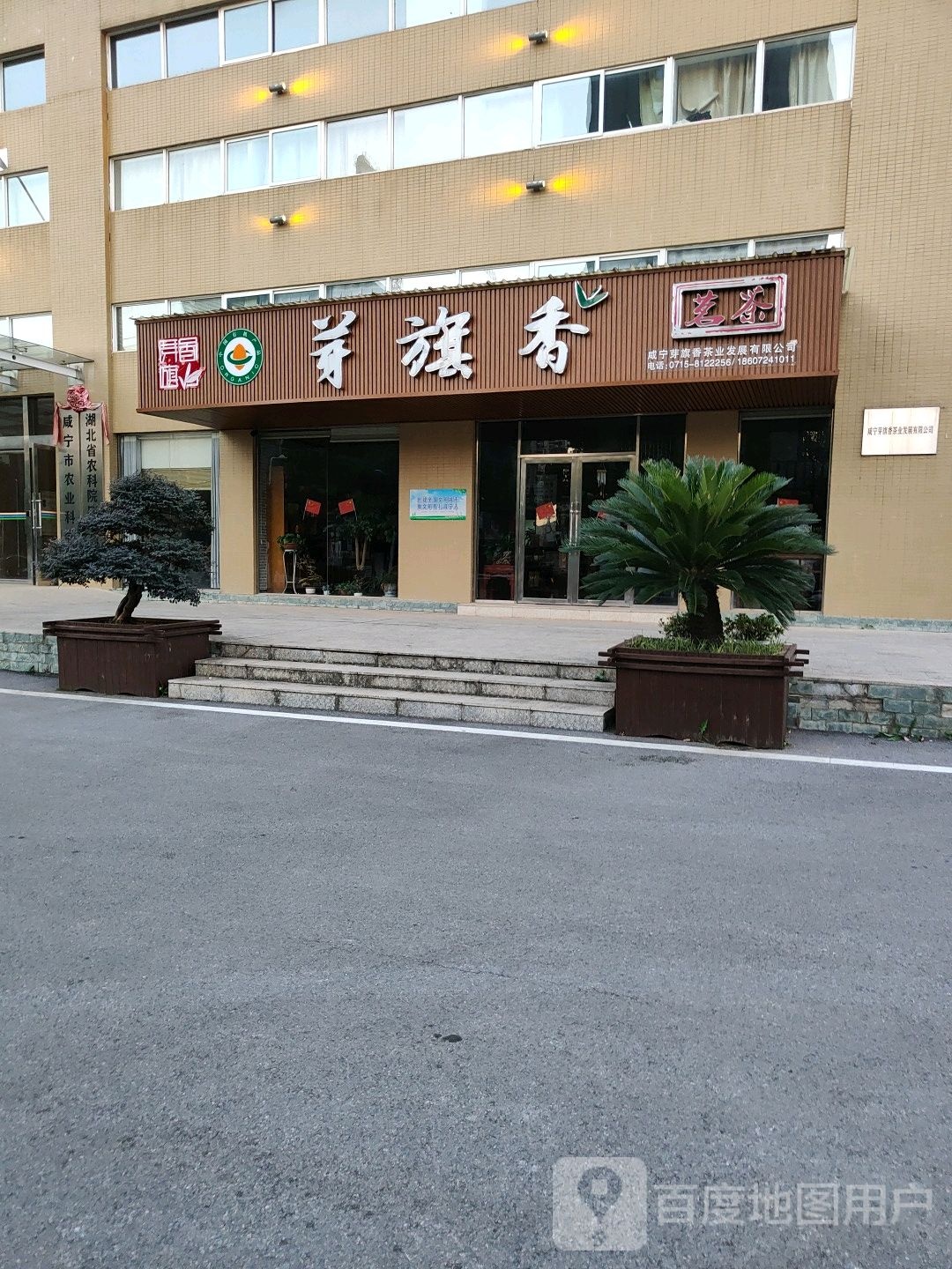 芽旗香茗茶
