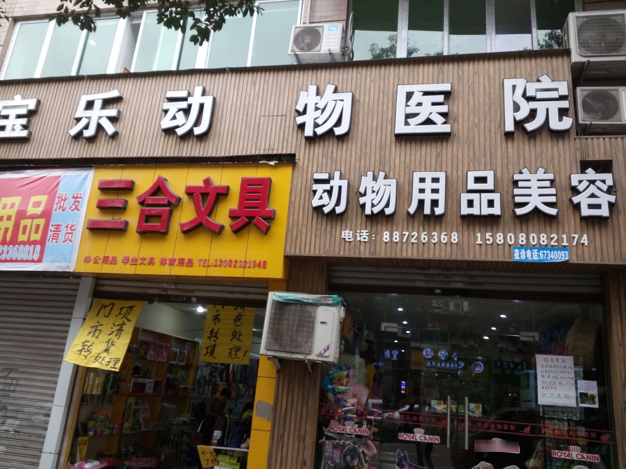 宝乐·全科治疗中心·猫科·骨外科(园区店)