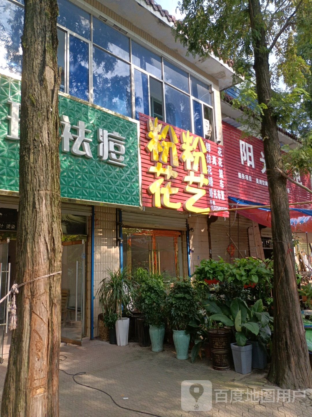 粉粉花一