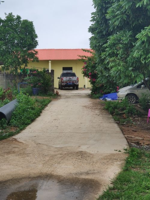 西联农场公司石牌菠萝蜜基地