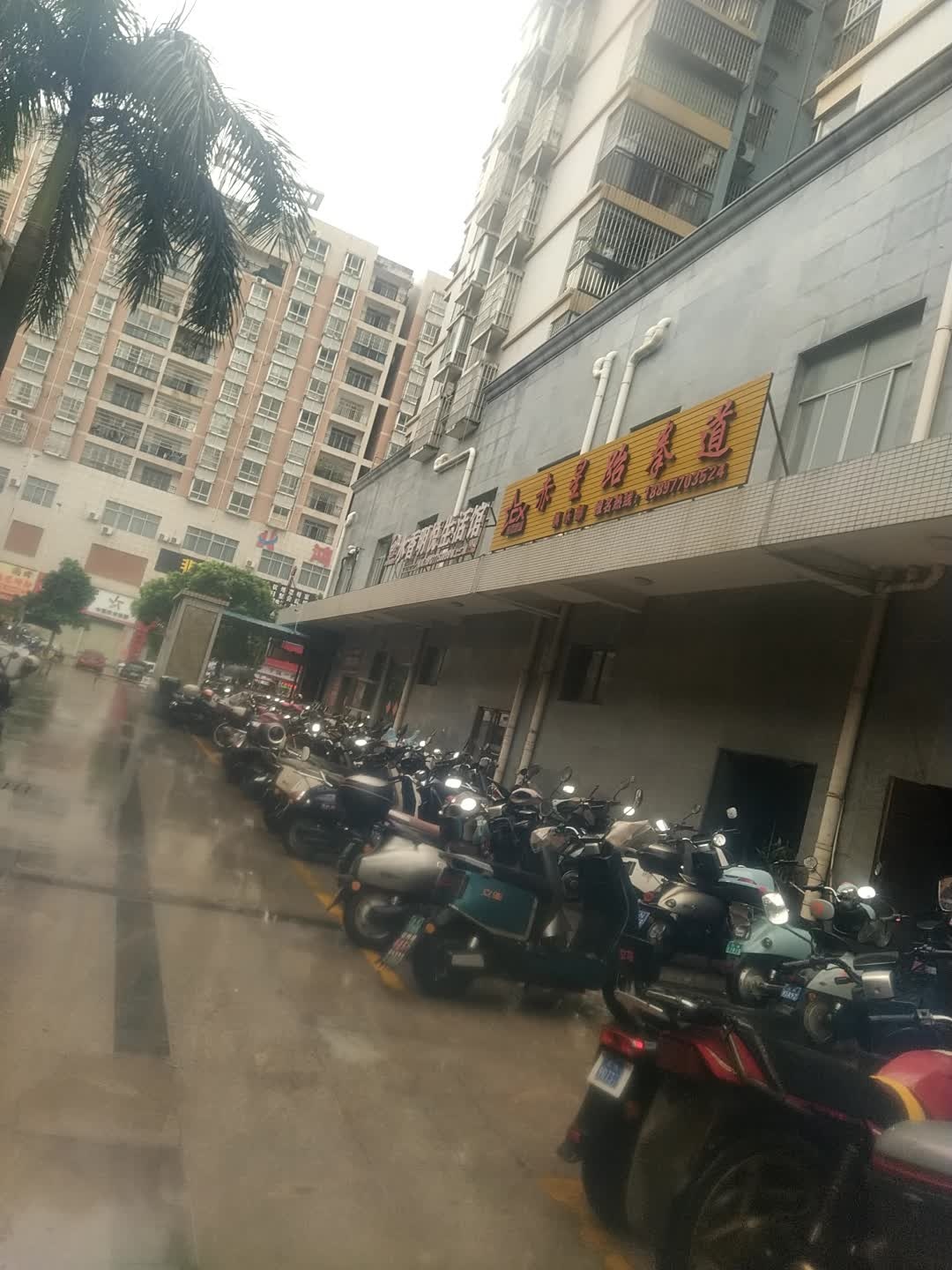 赤星跆拳道俱乐部