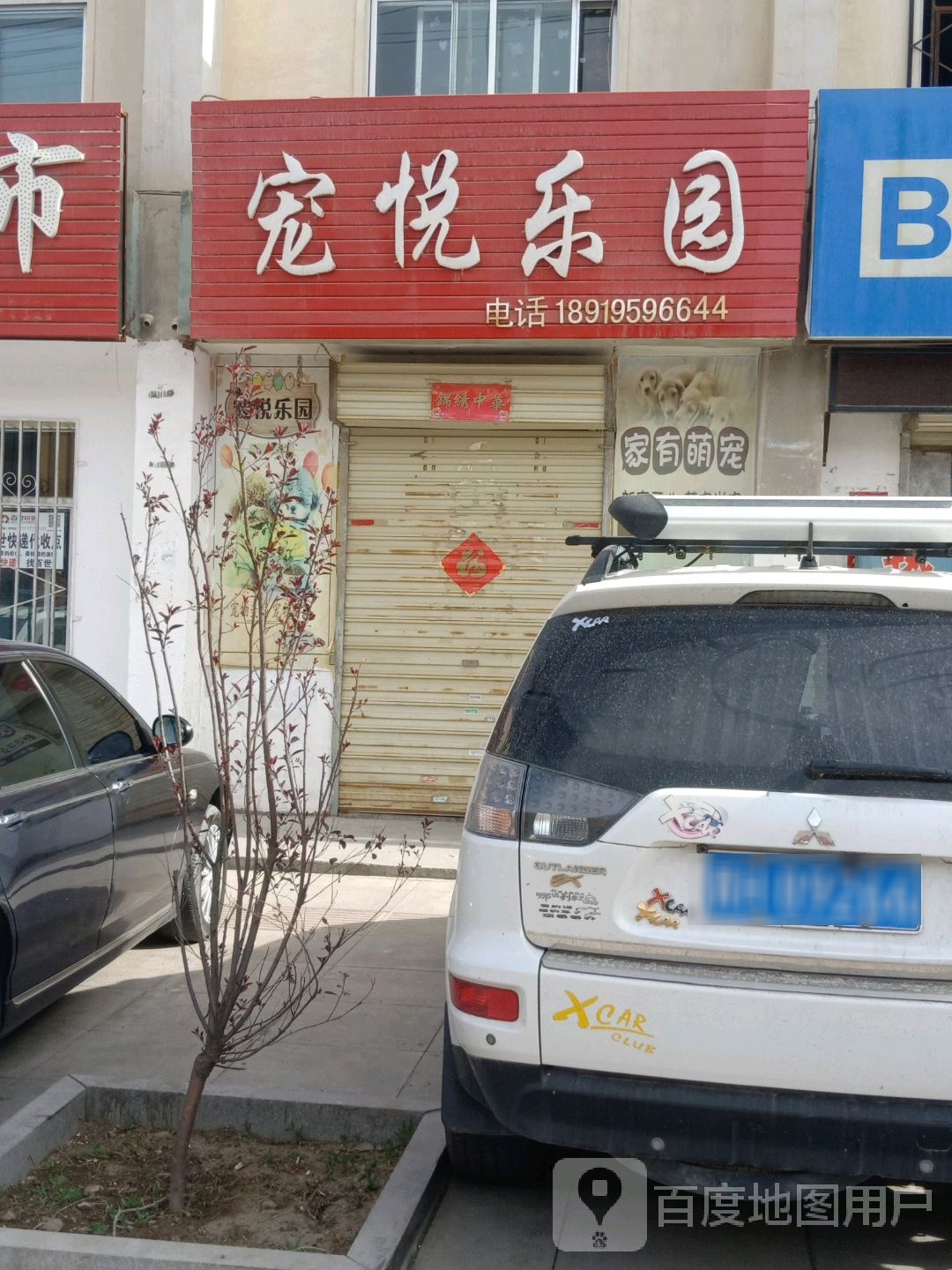 宠悦乐园